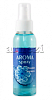 Ароматизатор ARNEZI Aroma жидкий спрей Ледяная свежесть ARNEZI A1509038